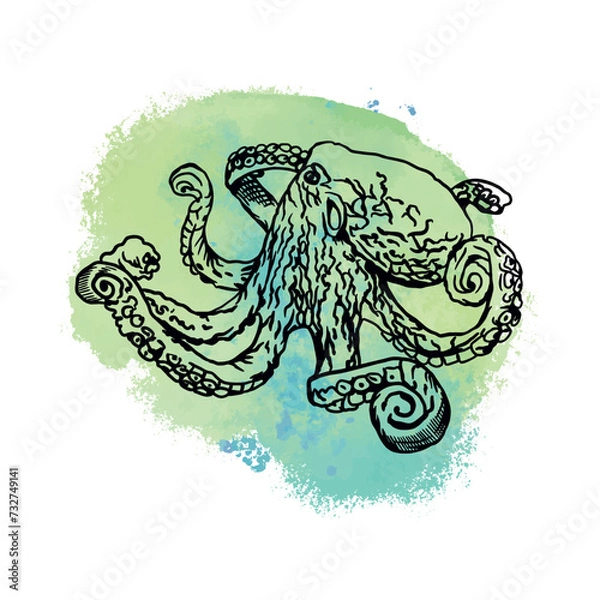 Fototapeta Octopus graphics. Vector illustration with a blue spot on the background. Design element for cards, covers, posters, banners, packaging, labels.