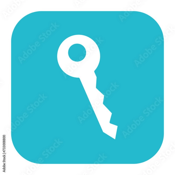 Fototapeta Key Icon