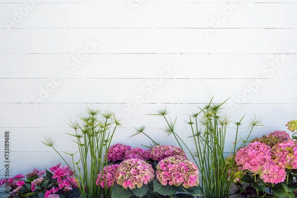 Fototapeta White wooden empty plank background texture. Pink hydrangea or hortensia at the bottom. Copy space