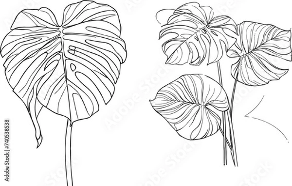 Fototapeta Monstera leaf line art. Contour drawing