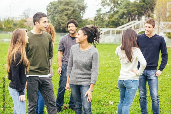 Fototapeta Multiethnic Group of Friends at Park