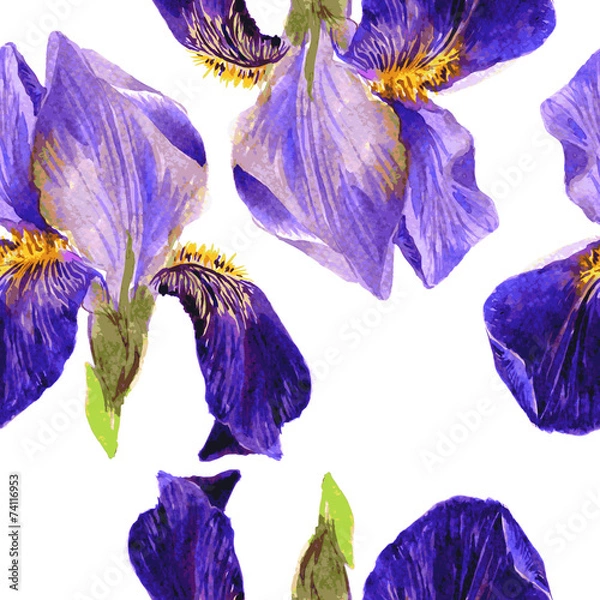 Fototapeta Vector seamless pattern with irises