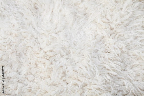 Fototapeta white woolly sheep fleece for background texture