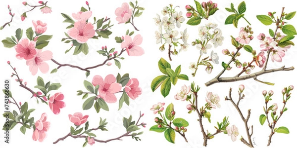 Fototapeta Collection of beautiful watercolor spring blossom branches, perfect for seasonal designs and floral themes.