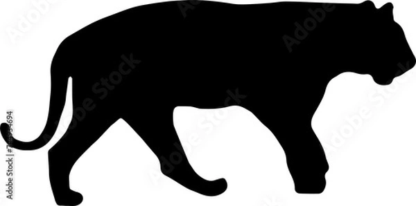 Fototapeta tiger silhouette in vector png. Can be used as a stencil or template for festive decorations, postcards, shop windows, logos, etc, transparent.