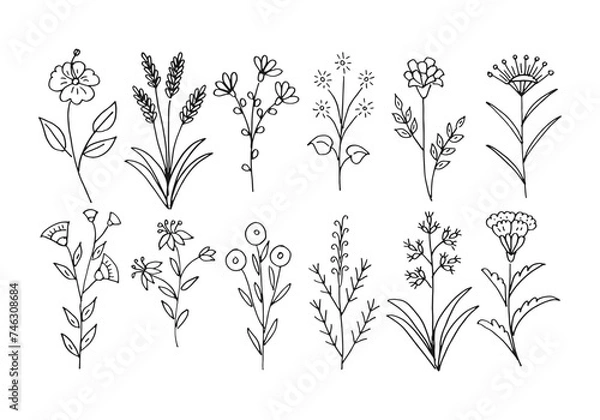 Fototapeta Flower doodle vector drawing. Set collection of different flower vector art illustrations.