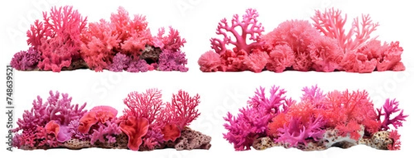 Fototapeta Set of coral reefs, cut out