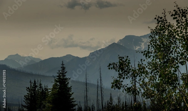 Fototapeta Rockies, forests and river along the Banff Windermer HWY Kootenay National Park British Columbia Canada