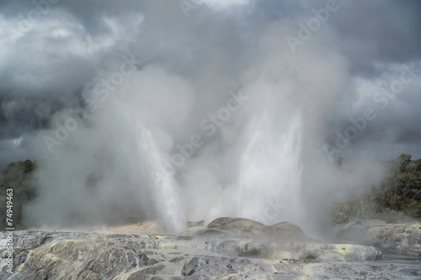 Fototapeta Geyser. New Zealand