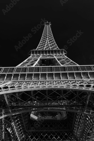 Fototapeta Graceful lines of the Eiffel Tower in Black and White