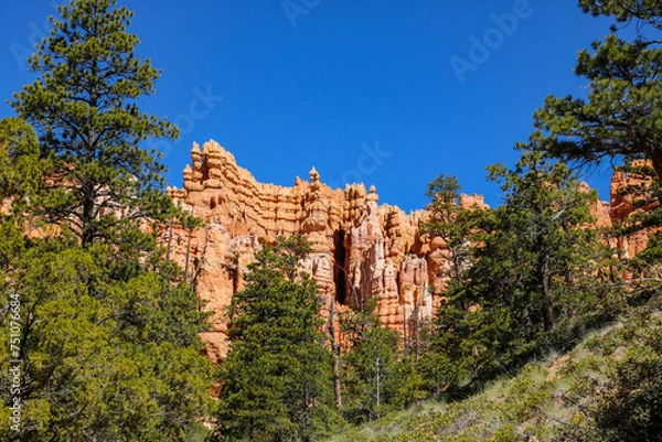 Fototapeta Scenic views from Queens Garden Trail at Bryce Canyon National Park.