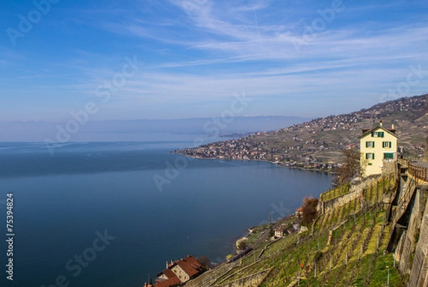 Fototapeta Vineyards of the Lavaux region over lake Geneva