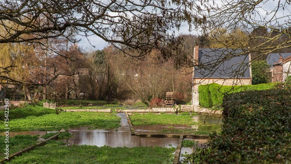 Fototapeta Watercress in Veules-les-Roses with an old water mill in Normandy, France