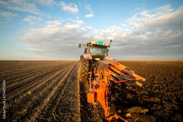 Fototapeta The tractor is working in the field, preparing the soil in autumn after the harvest