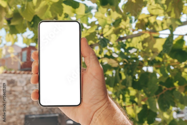 Fototapeta Man holding smartphone with blank white mockup screen in house back yard