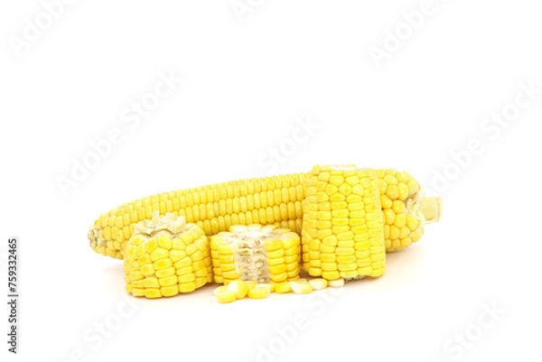 Fototapeta corn on the cob