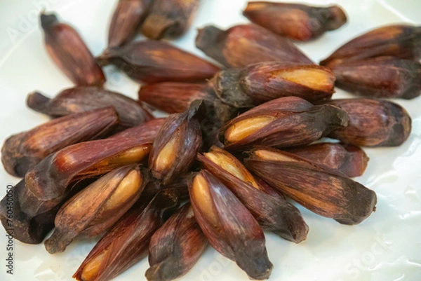 Fototapeta Ripe pine nuts, fruits of the Brazilian tree Araucaria angustifolia