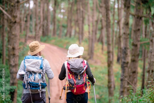 Fototapeta Hiking Couple backpacker in the pine forest.