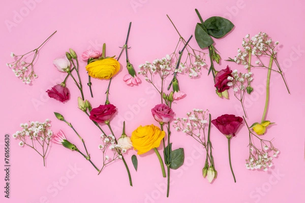 Fototapeta Vibrant flowers spread out on a pink background for a joyous visual