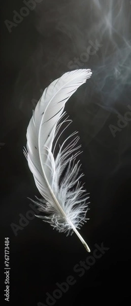 Fototapeta Closeup of a white feather falling against a dark, shadowed background, symbolizing purity and darkness in contrast