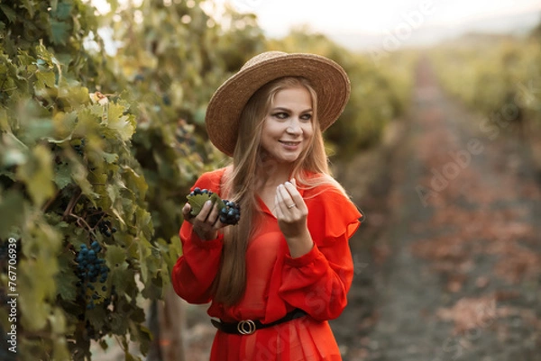 Fototapeta portrait of a happy woman in the summer vineyards at sunset. woman in a hat and smiling.