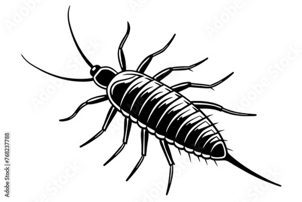 Fototapeta a realistic Silverfish silhouette vector art Illustration