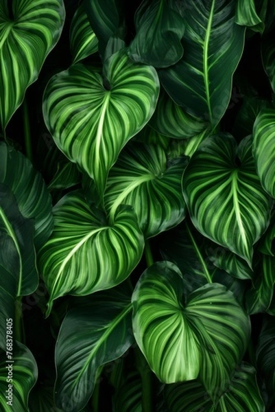 Fototapeta Tropical leaves pattern