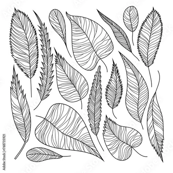 Fototapeta Black leaves line work. Isolated on white background. Hand drawn line vector illustration.