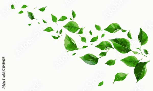 Fototapeta Green leaves flying in the wind vector illustration on white background