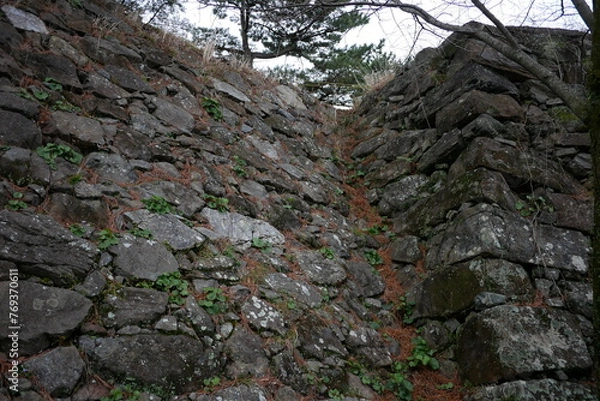 Fototapeta 鳥羽城跡の石垣