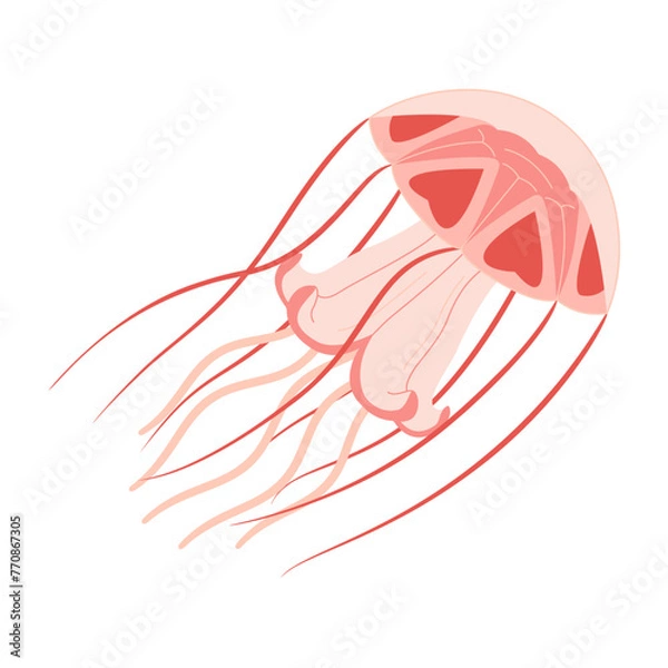 Fototapeta Cartoon Pink jellyfish flat style. Medusa vector illustration. Modern flat illustration Jellyfish isolated on white background. Vector illustration