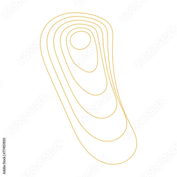 Fototapeta Abstract Wave Wireframe