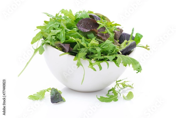 Obraz bowl of fresh green salad, close-up, isolated