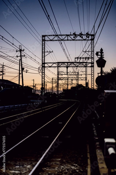 Fototapeta power lines and train at sunset