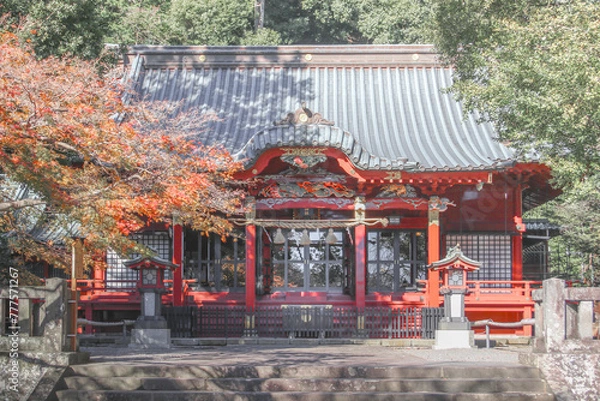 Fototapeta 伊豆山神社　拝殿