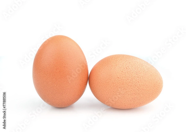 Fototapeta egg isolated on white background