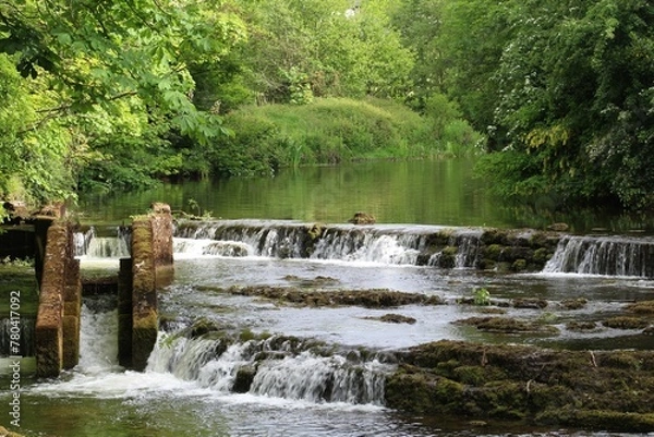 Fototapeta Beautiful shot of the river Brusna surrounded by green trees