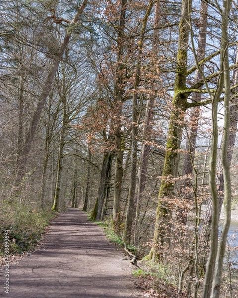 Fototapeta trees and path on shore of lake  at public park, Stuttgart