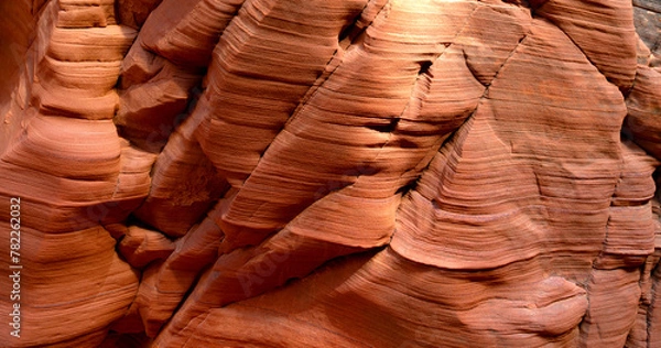 Fototapeta Wave-shaped rocks in a slot canyon in the desert near Page in Arizona, USA. Red sandstone washed out by a stream forms bizarre shapes that appear three-dimensional in sunlight and captivate tourists.