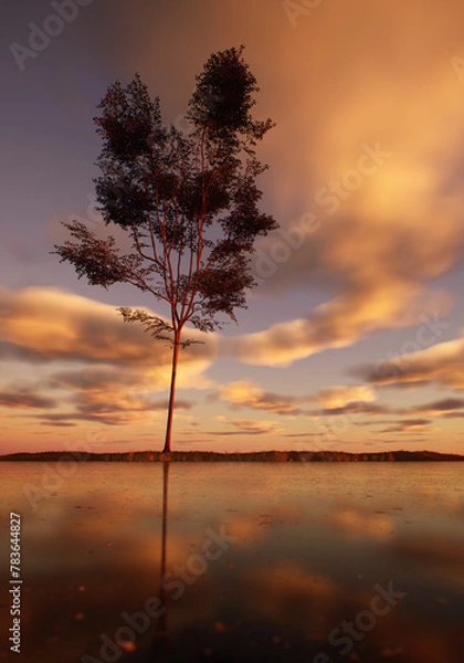 Fototapeta Solitary tree in field at lake under a sunset cloudy sky.