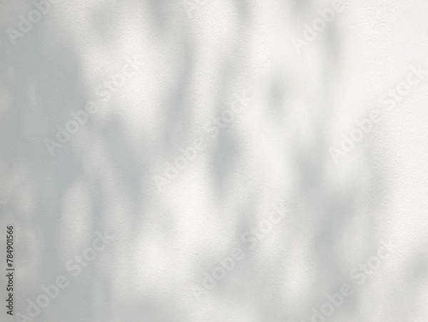 Fototapeta Leaf shadow and light on white concrete wall background