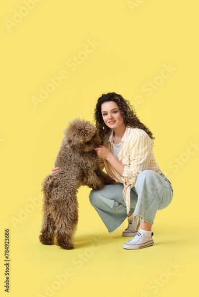 Fototapeta Young woman with poodle on yellow background