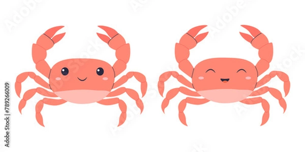 Fototapeta Cute crab smiles. Vector illustration isolated on white background. Illustration for children.