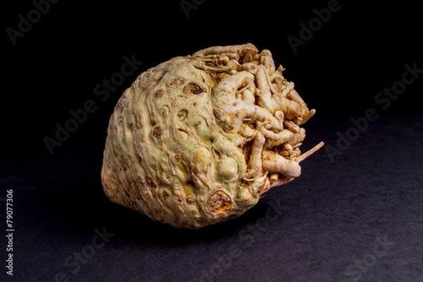 Fototapeta Fresh Healthy Organic celeriac