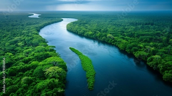 Fototapeta Wild Beauty: Aerial Perspective of Winding River in Dense Rainforest, generative ai