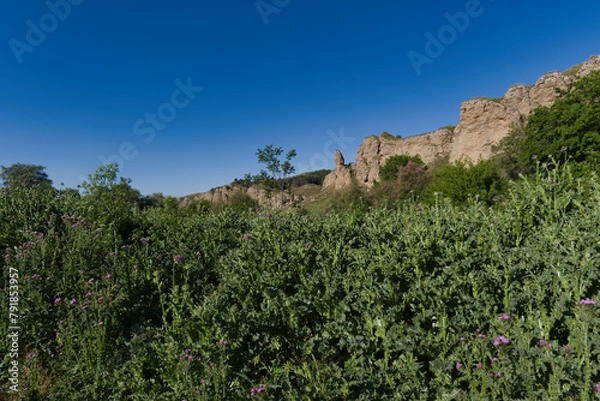 Fototapeta spring, landscape, view, flora, plants, outdoors, nature, green,