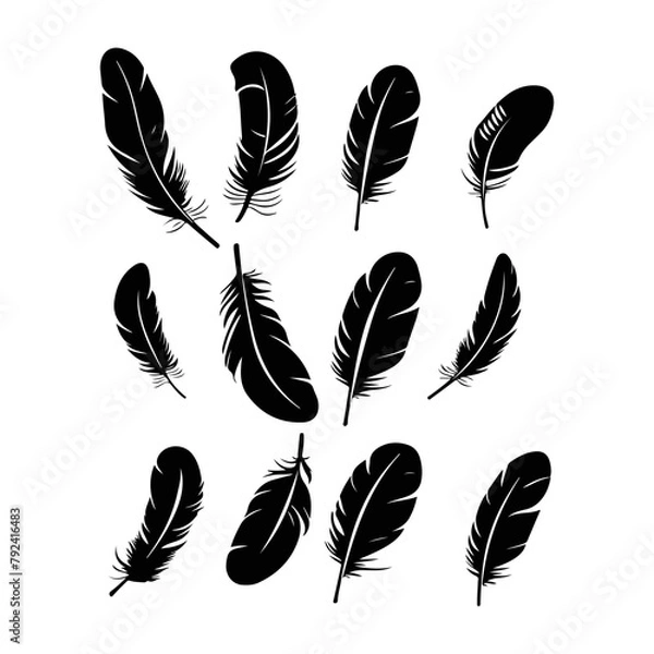 Fototapeta Feather silhouette. Hand drawing sketch of feather icons and vector illustration