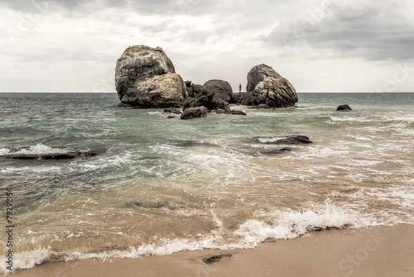 Fototapeta Waves on the seashore in Sri Lanka