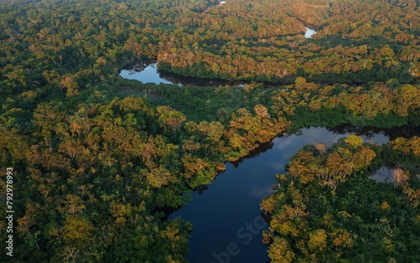 Fototapeta TAHUAYO RIVER IN THE TOWN OF LORETO IN THE PERUVIAN AMAZON, THE TAHUAYO IS AN AREA WITH HIGH BIODIVERSITY, ABUNDANT EXOTIC WILDLIFE, THE TAHUAYO RIVER TOURIST ATTRACTION, TAHUAYO TOURISM IN AMAZON