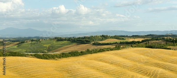 Fototapeta Crete Senesi (Tuscany, Italy)